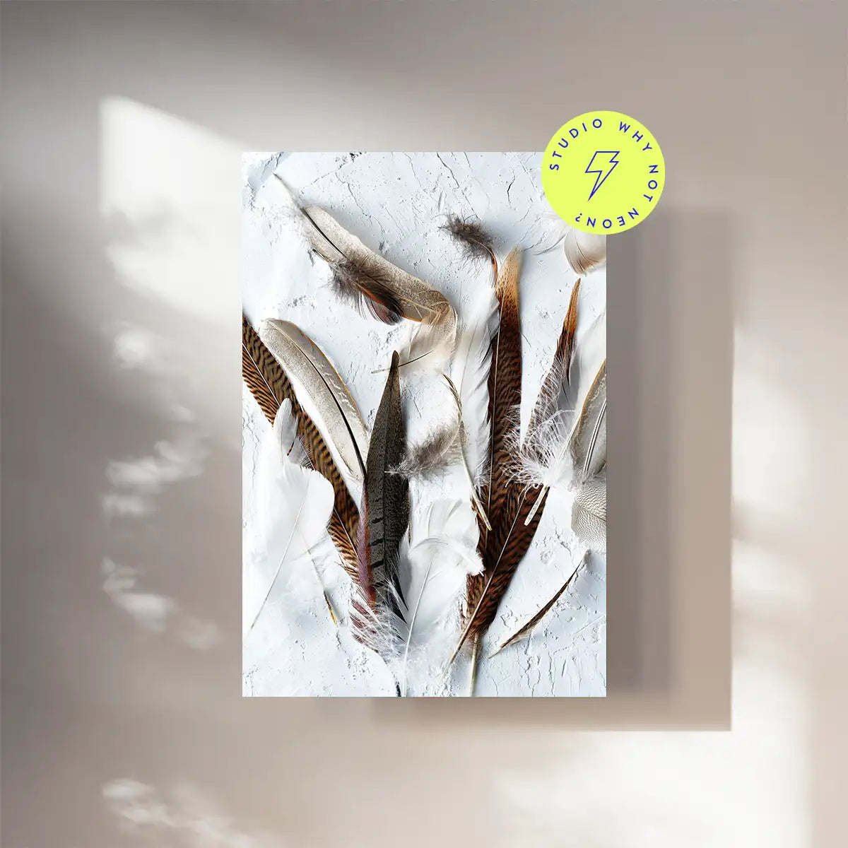 Light Feathers 02