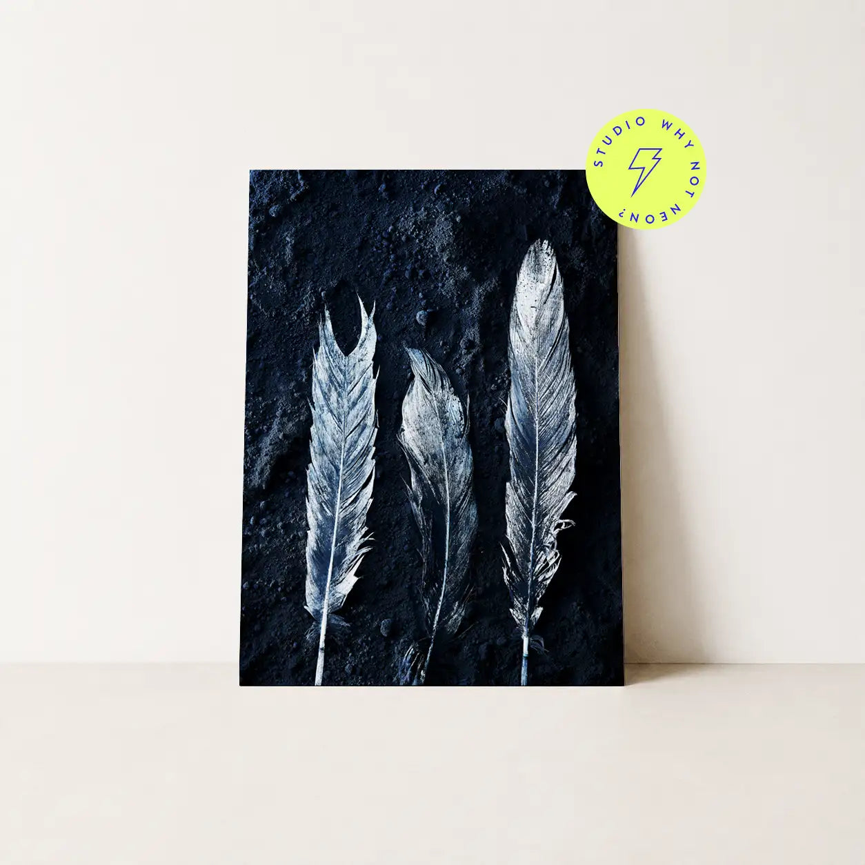 Dark Feathers 02