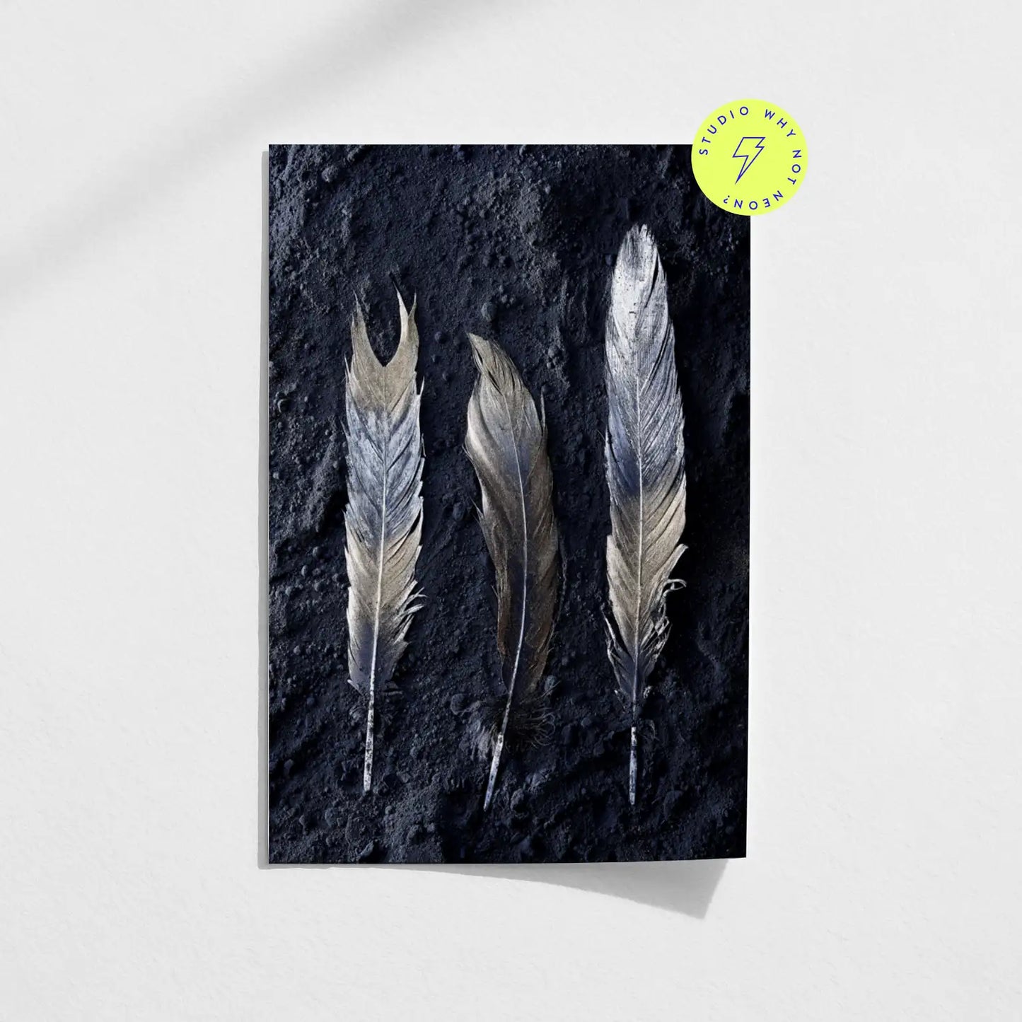 Dark Feathers 01