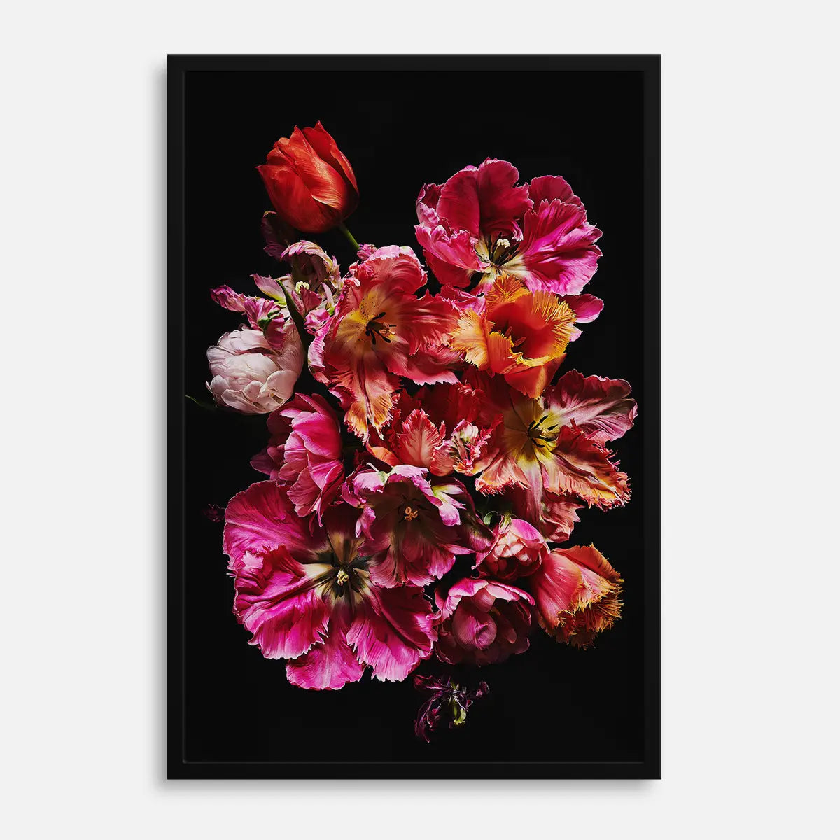 Wandbild mit Tulpen in pink, rot und orange. als Poster bestellen HEARTMADE Prints Poster-Shop