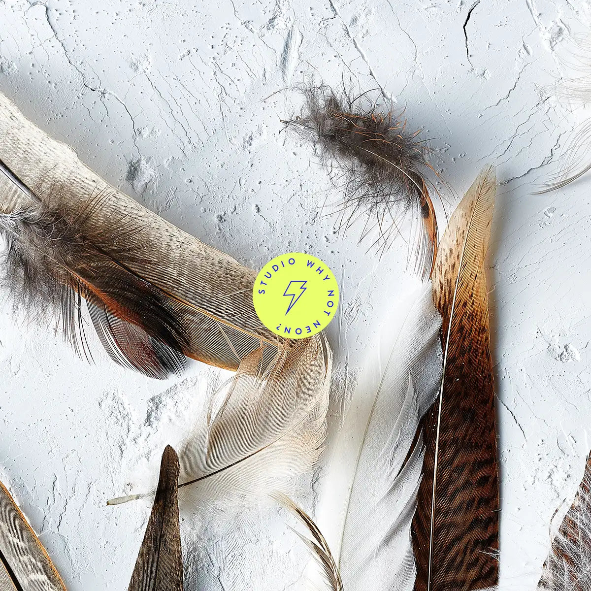 Light Feathers 02