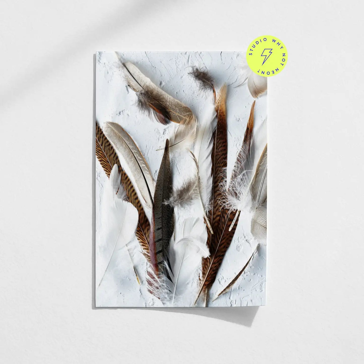 Light Feathers 02