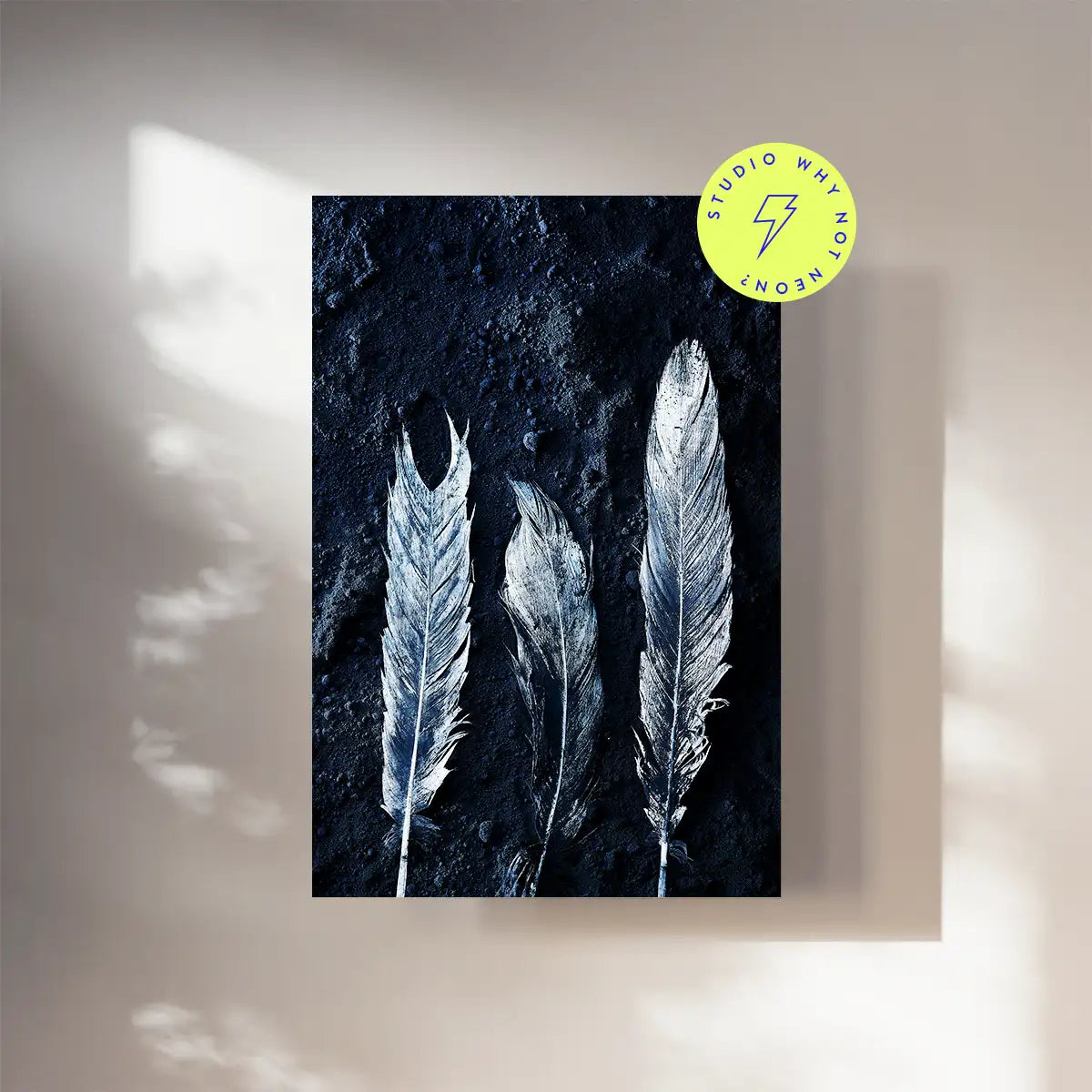 Dark Feathers 02