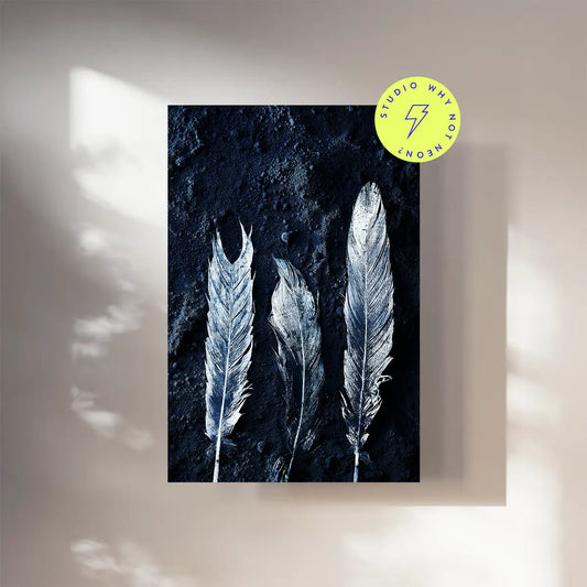 Dark Feathers 02