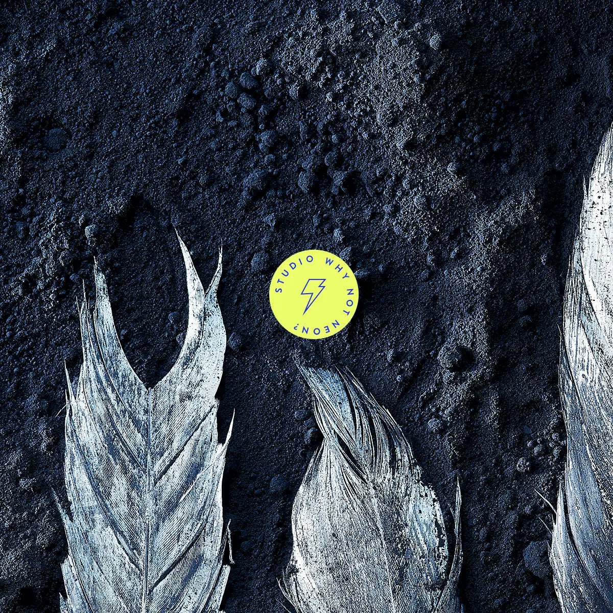 Dark Feathers 02