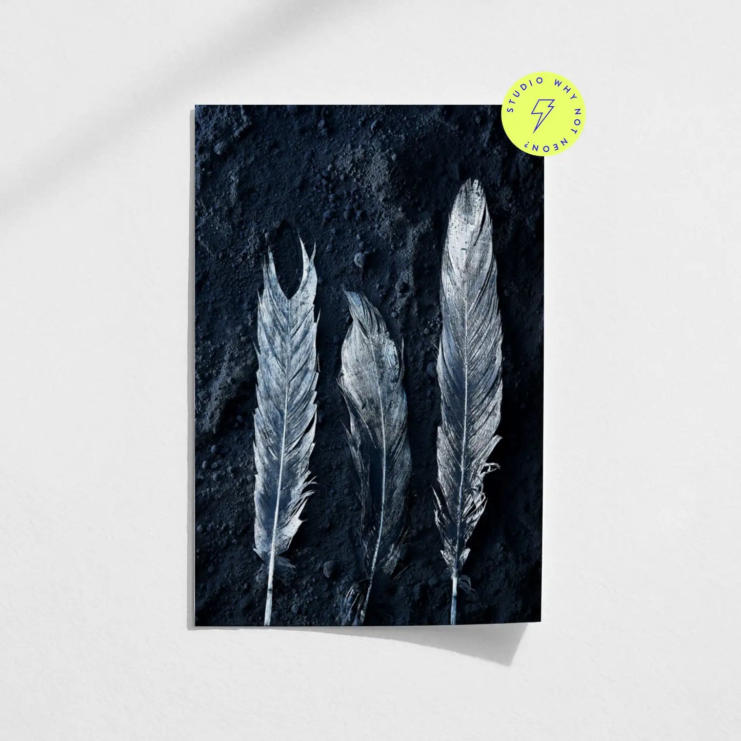 Dark Feathers 02