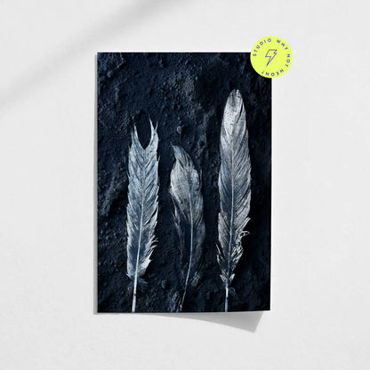 Dark Feathers 02