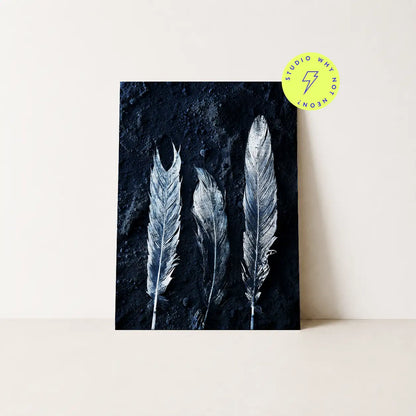 Dark Feathers 02