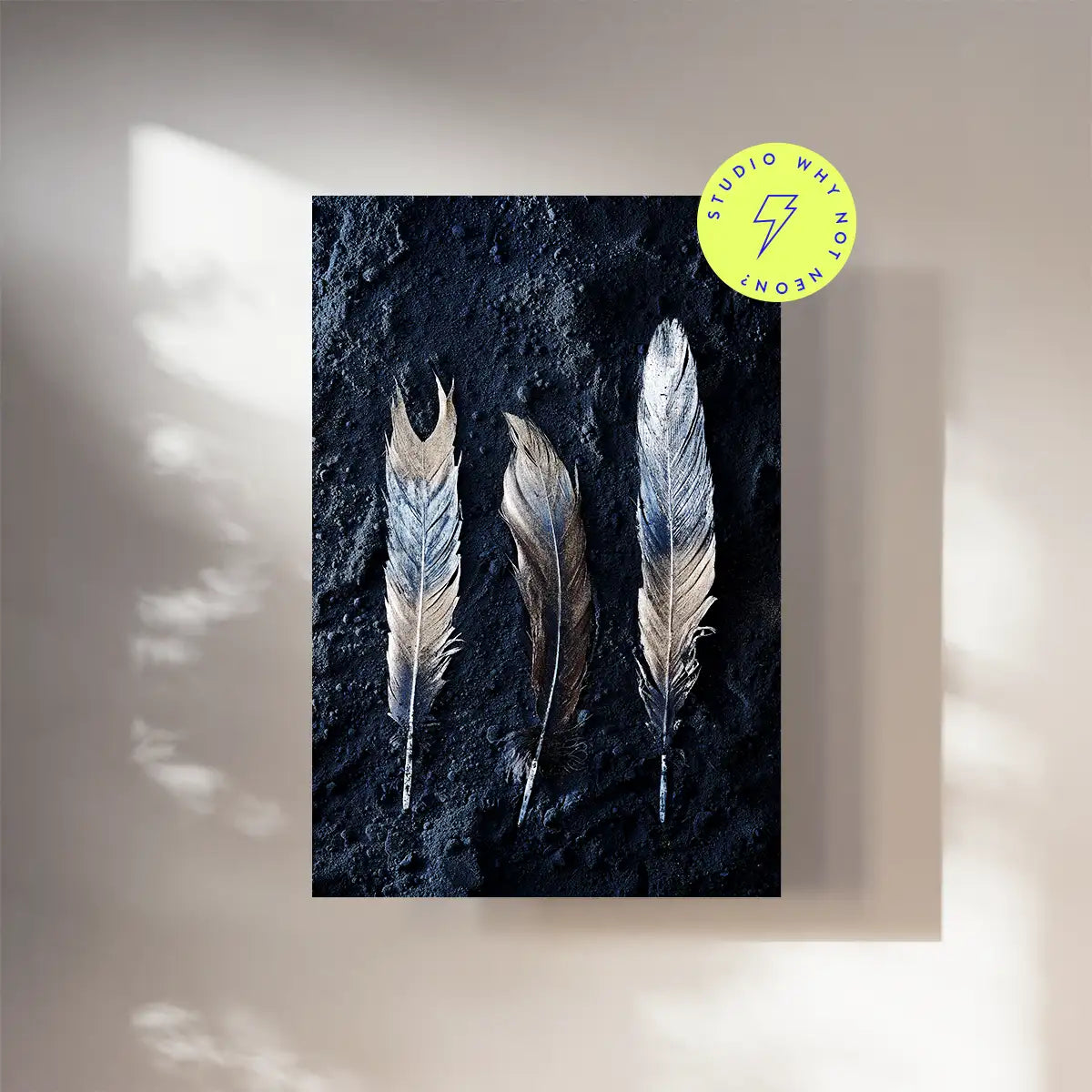 Dark Feathers 01
