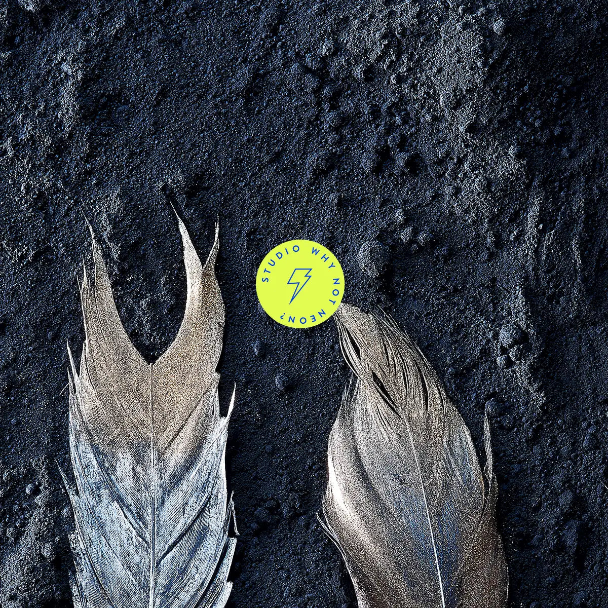 Dark Feathers 01
