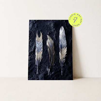 Dark Feathers 01