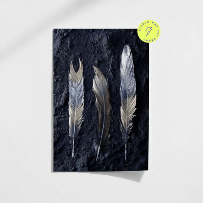 Dark Feathers 01