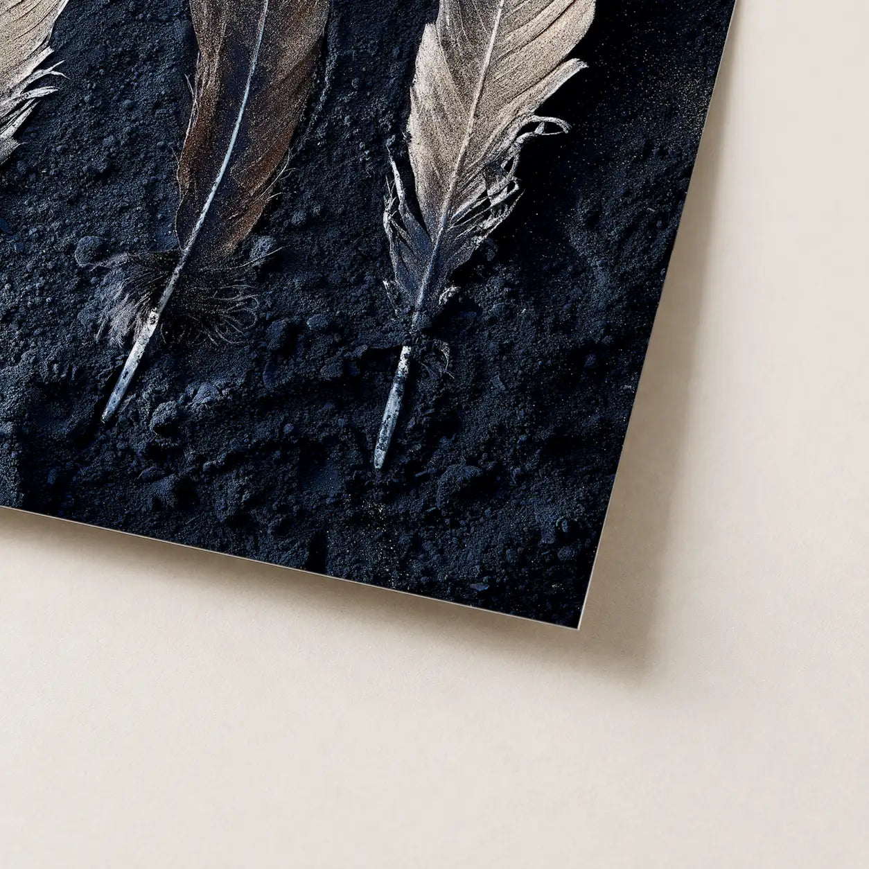 Dark Feathers 01