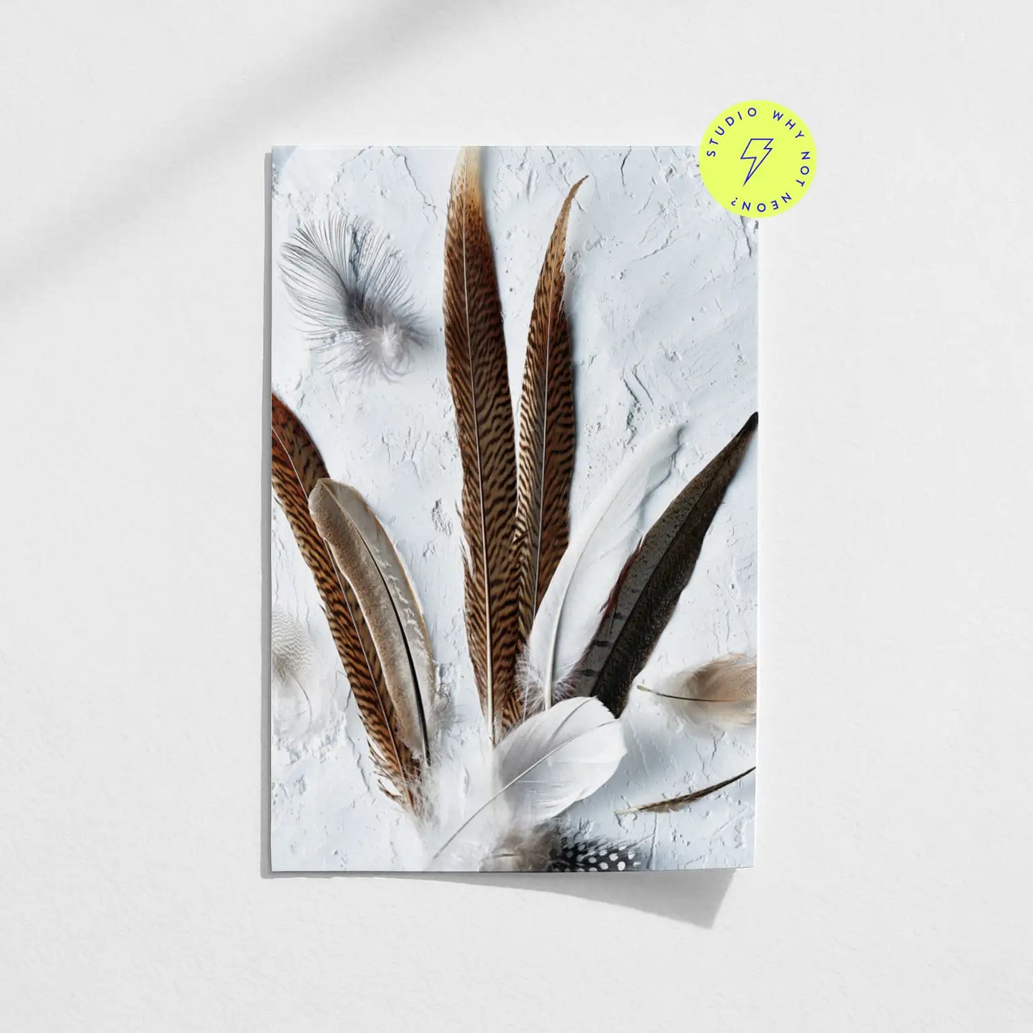 Light Feathers 01