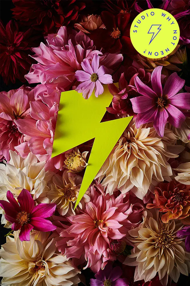 Modernes Wandbild mit Blumen und neon Blitz auf Alu Dibond oder gerahmt im neon Rahmen als hochwertigen Kunstdruck für das Wohnzimmer bestellen