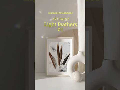 Light Feathers 01