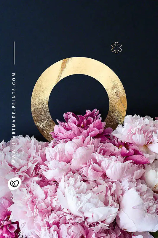 Pfingstrosen ABC | Buchstabe O